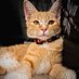 batam (@batam514199) Twitter profile photo batam (@batam514199) Twitter profile photo