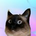 Merv the cat (@merv_on_sol) Twitter profile photo Merv the cat (@merv_on_sol) Twitter profile photo
