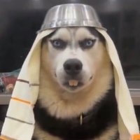 M (@minn966) 's Twitter Profile