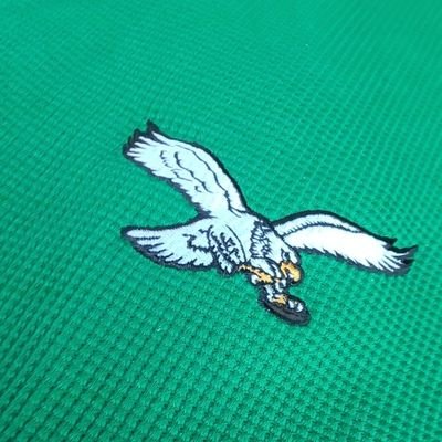 EZELABODA's profile picture. #FlyEaglesFly
#GoBlue