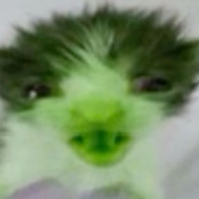 pughelp's profile picture. hi 
dc: pughelp
roblox: diegohelmi