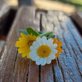 حينما تُزهر الروح، لا يضرّها تعاقب الفصول.✨💕