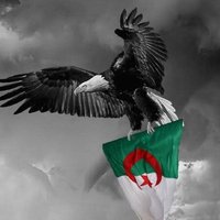 🇩🇿القدس_عاصمه_فلسطين_الأبدية🇵🇸 (@lancerpls) 's Twitter Profile Photo 🇩🇿القدس_عاصمه_فلسطين_الأبدية🇵🇸 (@lancerpls) 's Twitter Profile Photo