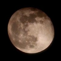 OscarMeraz (@oscarme70510090) 's Twitter Profile Photo