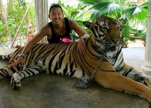 CSamela23's profile picture. Live as if you were to die tomorrow. Learn as if you were to live forever.