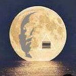 be1st2's profile picture. Is a 10,000 year world civilisation, based on trade, viable?

Your bid?