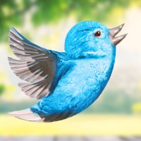 Dave Snider is not here🦋 (@davesnider) 's Twitter Profile