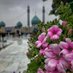 امیرحسین (@amirhoseinn_313) Twitter profile photo امیرحسین (@amirhoseinn_313) Twitter profile photo