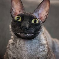 TheArtWizardd (@najeebeam138820) 's Twitter Profile