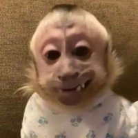 cutestprsonn2.0 (@cutestprsonn) 's Twitter Profile Photo cutestprsonn2.0 (@cutestprsonn) 's Twitter Profile Photo