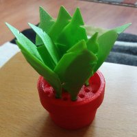 Plantgamer09🆖🪴🍊 (@plantgamer09) 's Twitter Profile Photo Plantgamer09🆖🪴🍊 (@plantgamer09) 's Twitter Profile Photo