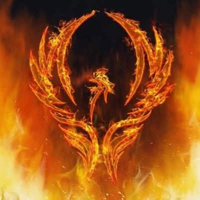 FlavioFenix9202's profile picture. crypto and finance enthusiast