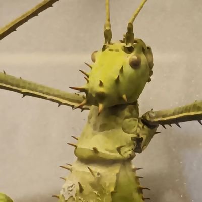 lucrece563's profile picture. La nature est source d'information , les médias profondément stériles.