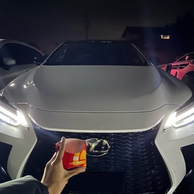#LEXUS #NX350h FスポーツTRD / 1月17日 納車 🔥 BBS🛞 / ペットもポスト🐈 🐕 / NEXUS / 無言フォロー失礼します😊車好きの方たちと繋がりたい