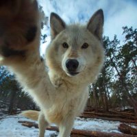 Aran (@yoarann) 's Twitter Profile