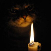 📖 (@comamorlivros) 's Twitter Profile Photo 📖 (@comamorlivros) 's Twitter Profile Photo