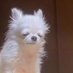 𝐏𝐞𝐫𝐥𝐨 (@wpether_) Twitter profile photo 𝐏𝐞𝐫𝐥𝐨 (@wpether_) Twitter profile photo