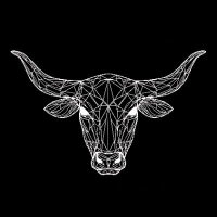 Crypto Scammers Hunter (@cryptoscam62282) 's Twitter Profile