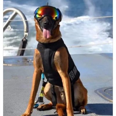 CanineDogma001's profile picture. Lifetime member of Cal-Earth Institute an ancient/modern fireproof construction alternative to rebuild the communities destroyed by the fires. https://t.co/pBLSUcW8cV