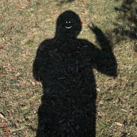 D (@userdiegooo) 's Twitter Profile