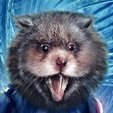 Markus Egg ππͺπΊπππ΄Β³πΒ³πΊπ¦πͺ (@eggmarkus) 's Twitter Profile