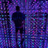 N (@cryptonessss) Twitter profile photo