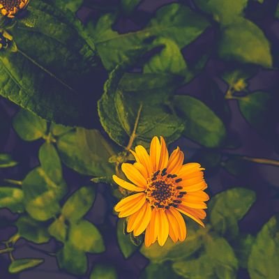 TheLekanWithin's profile picture. Storyteller |
My mind won't shut up | 
Thoughts on ink