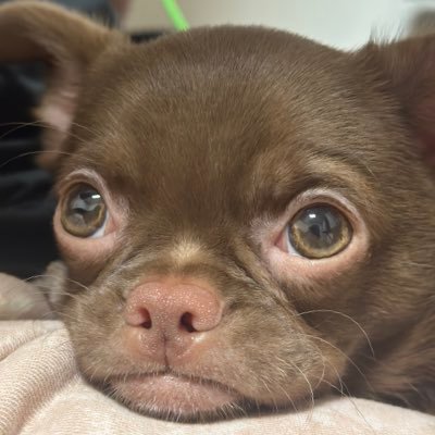 ak190795ftd's profile picture. 