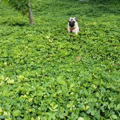 ErvinConde6757's profile picture. 