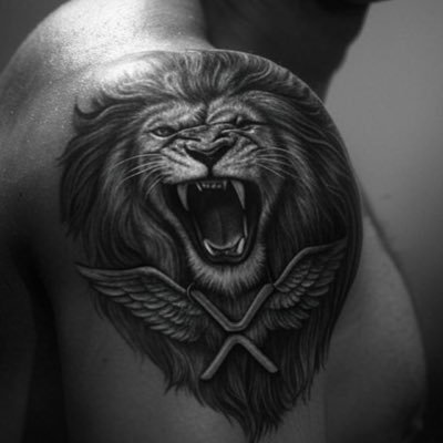 CryptoapX's profile picture. We are at the pinnacle of change...no pain, no gain. Never give up.