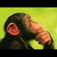 mkecoke's profile picture. Head in the clouds, hands on keyboard and tablet