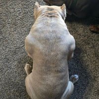 EverydayDad (@messmersha42964) 's Twitter Profile
