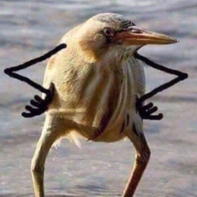 ONLY HERE TO SEE NEWS. NOT ACTIVE.
I WILL NOT ANSWER DMS