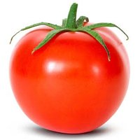 Paul Peace (@ecopaulpeace) 's Twitter Profile