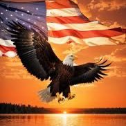 Nooseknots85's profile picture. Murica!!