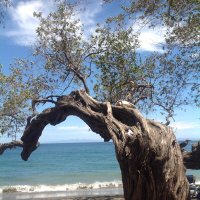 Lynn Ross is on Bluesky (@mslynnross) 's Twitter Profile