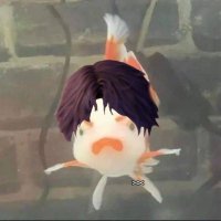 aimezitcha (@rafayelbicha) 's Twitter Profile