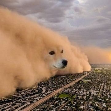 satoshiStormDog's profile picture. 最低调的BTC早期矿工，曾经矿场分布欧亚美，现吃USDT理财低保维持生计，币圈半隐退状态，无所事事，调戏小粉红为乐