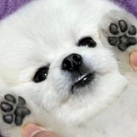 ๋ฟก๐จ (@bbu_uang) 's Twitter Profile