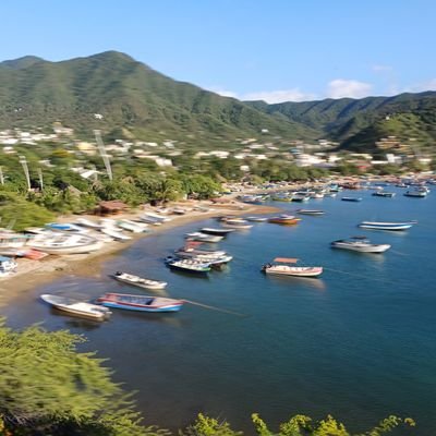 eduinega's profile picture. 