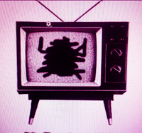 Blackbreaks's profile picture. Sydney / Blue Mountains alt.rock super humble supergroup. Music, progressive politics and wastecoats. Album ‘Golden Greats’ out now. Singer: @chrisdubrow