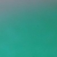 Kdid Dnd (@kdidd71898) 's Twitter Profile