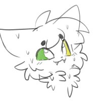 Woolfy :3 (@woolfy2puntos3) 's Twitter Profile