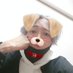 ななせまる🕊 ͗ ͗𓂃るぅたそ。 (@haniwa_ok) Twitter profile photo ななせまる🕊 ͗ ͗𓂃るぅたそ。 (@haniwa_ok) Twitter profile photo