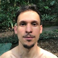 papangu comunista ☭ (@omapinguari) 's Twitter Profile