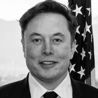 ELON MUSK (private chat) (@elon_page75) 's Twitter Profile