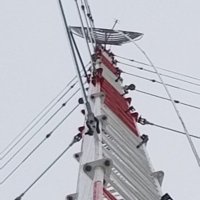 Wilson (@wilsonk9do) 's Twitter Profile