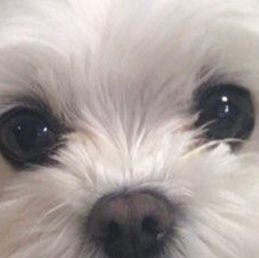 gabta445389's profile picture. 성인