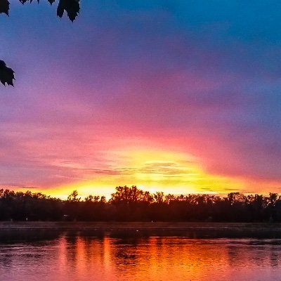 Chenchen18273u's profile picture. 