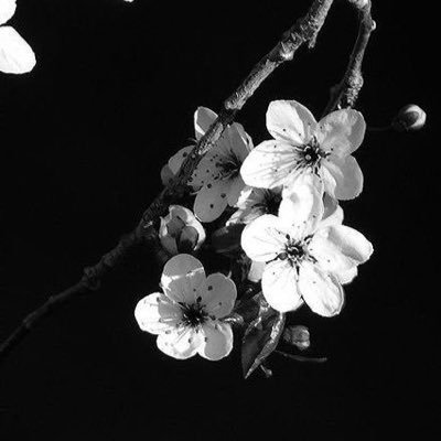 Ttgcsse's profile picture. Student at @FCITKAU | CS 💻⭐️